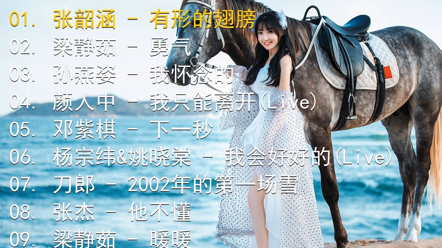 精选歌单合集《张韶涵 - 有形的翅膀》《梁静茹 - 勇气》《孙