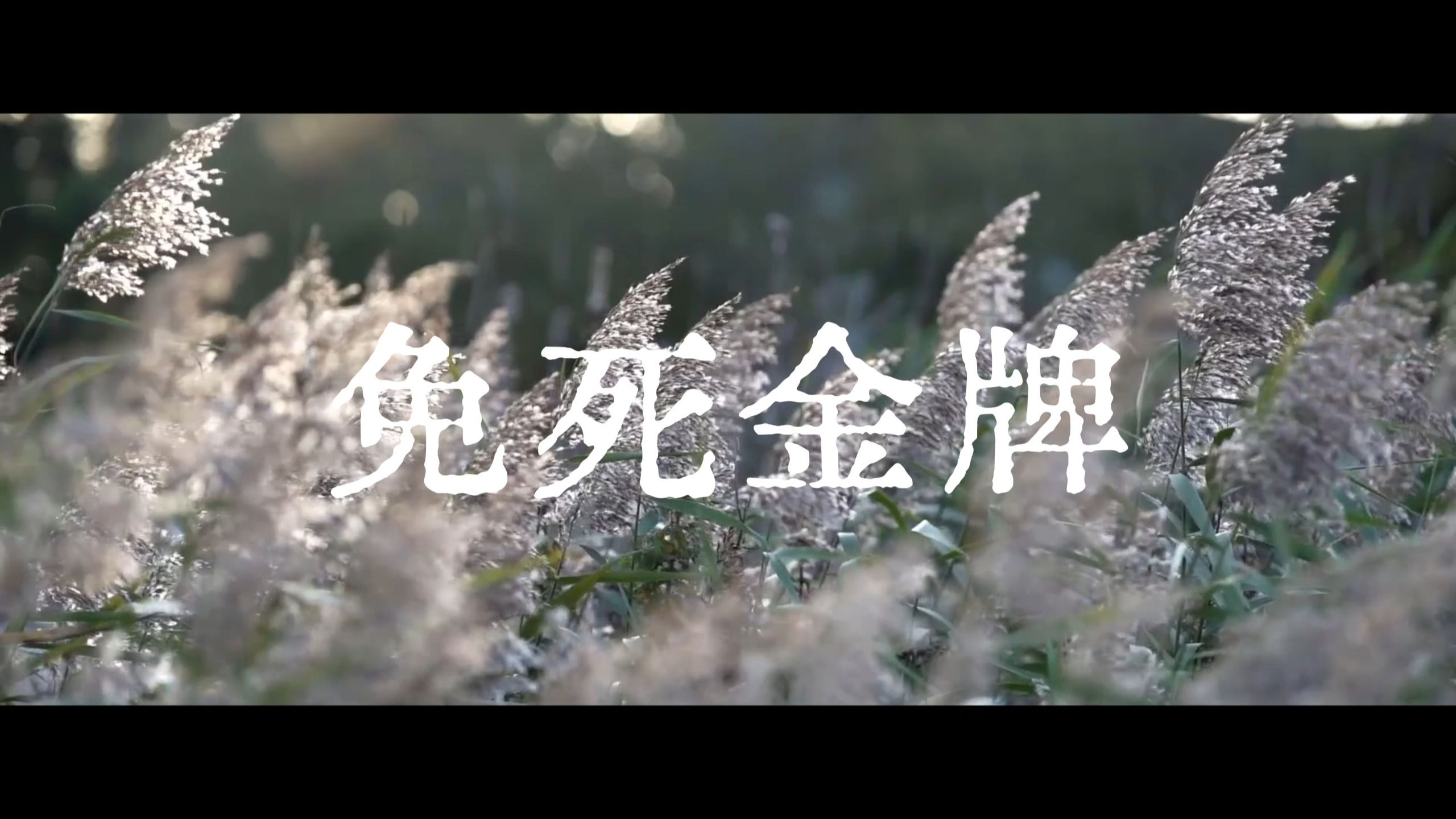 【星尘/洛天依原创】免死金牌