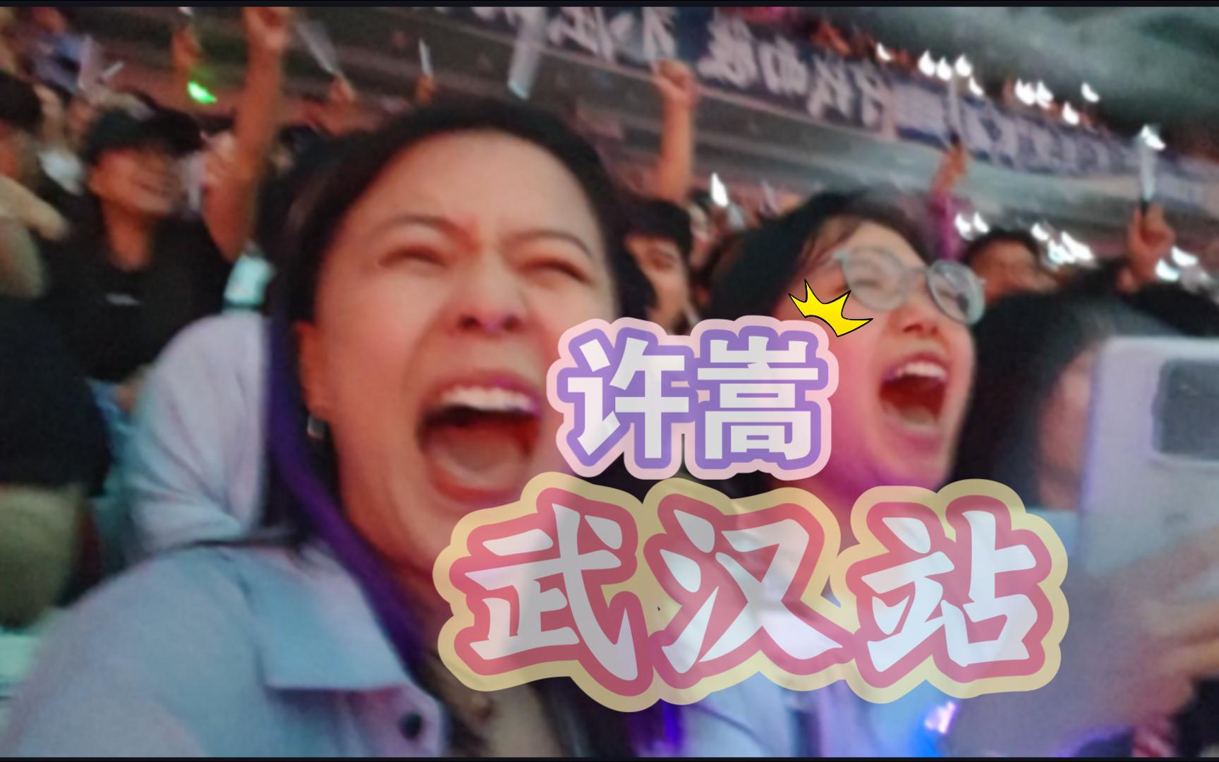 第二次看演唱会 说好不乱叫...但他是许嵩啊！！！