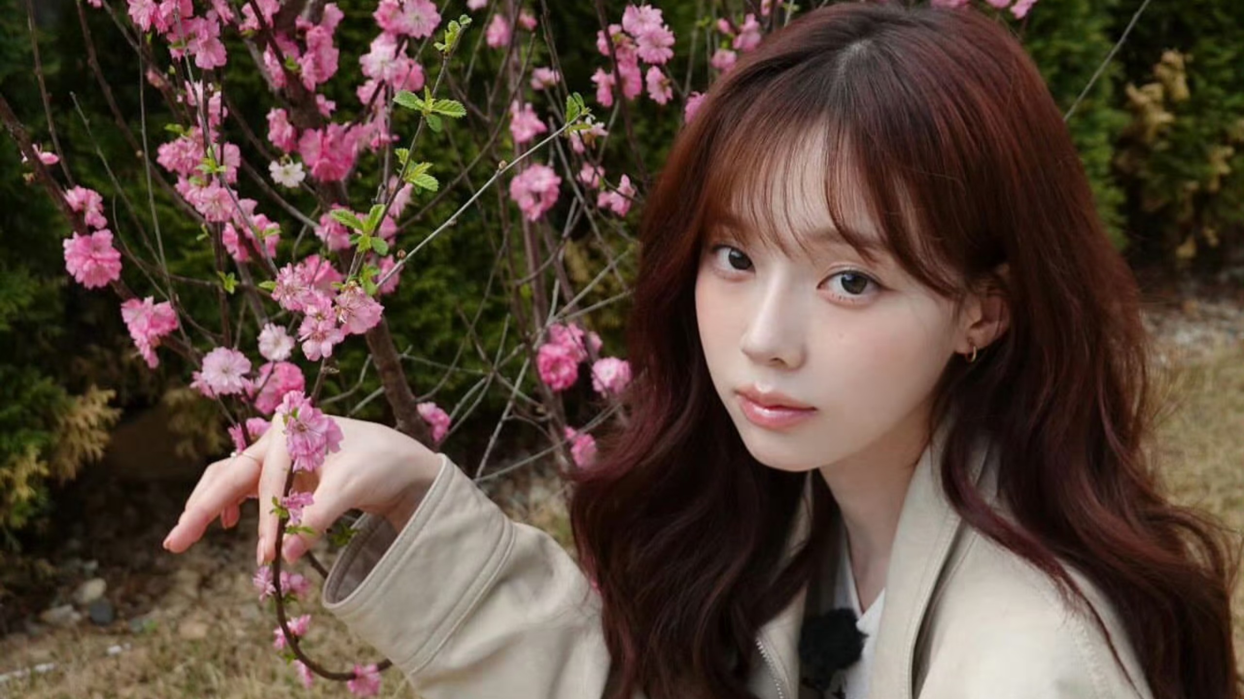 【金玟庭 part合集】---点进来聆听清泉音色---