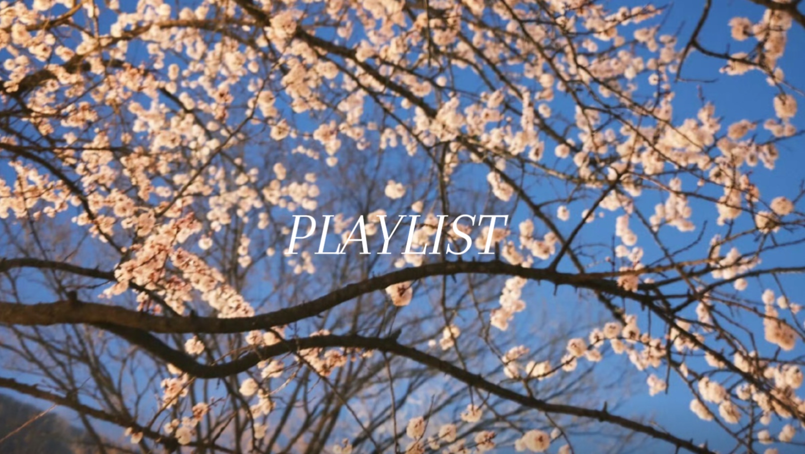 PLAYLIST•戴上耳机感受夏夜晚风吧|kpop 抒情|散步|放松|治