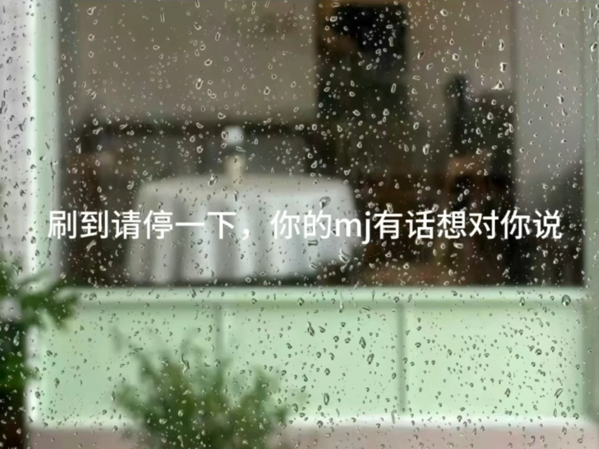 刷到请停一下，mj有话跟你说