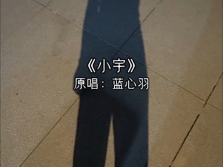 我是没招了你懂吗！！？