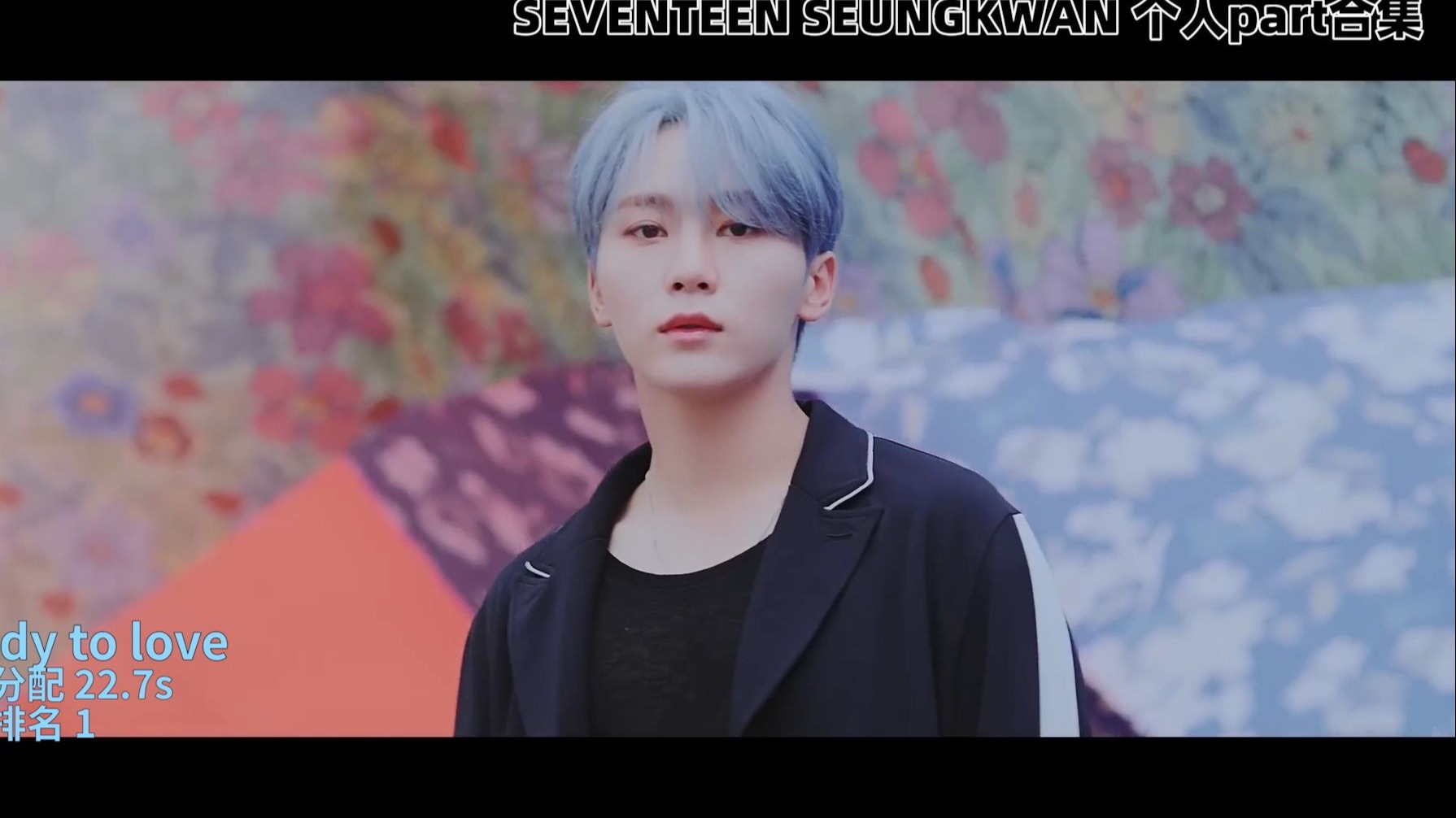 SEVENTEEN 夫胜宽 出道十年个人part合集