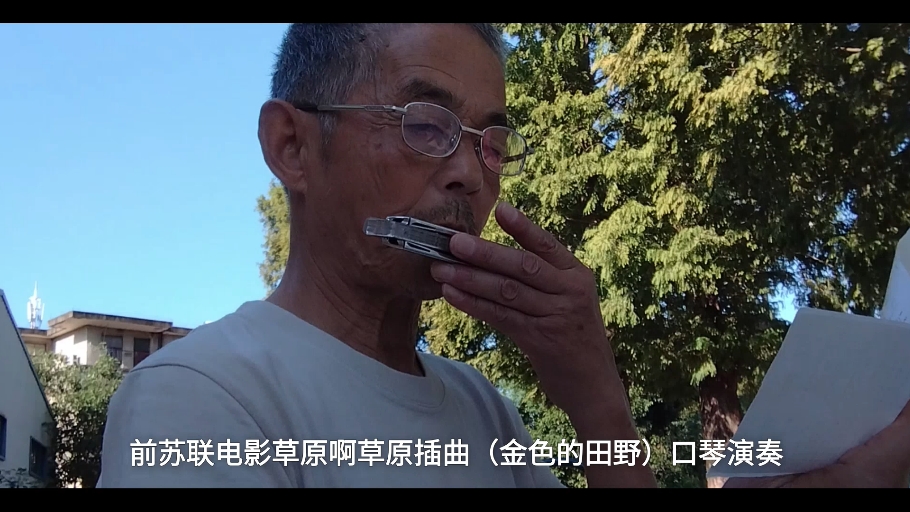 前苏联电影草原啊草原插曲（金色的田野）口琴演奏