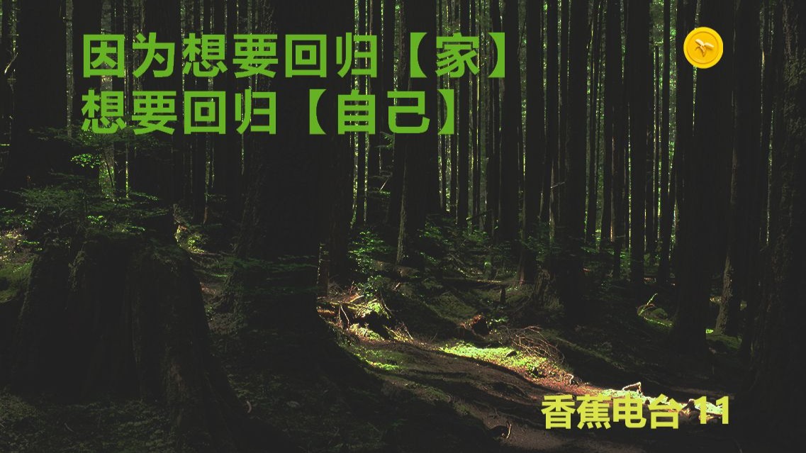 好久不见，一些关于自由职业的q&a | 香蕉电台11