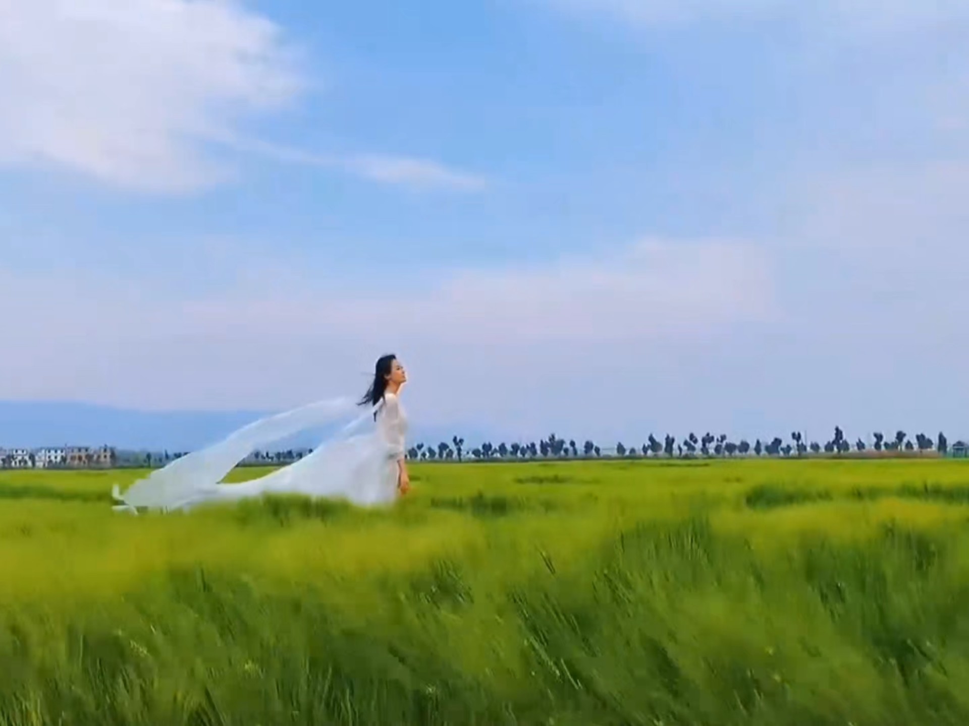 粤语金曲老歌合集，70、80、90后必听歌单