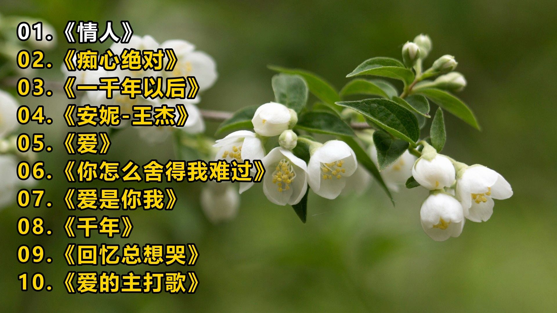 【一人一首成名曲】《情人》《痴心绝对》《一千年以后》《安