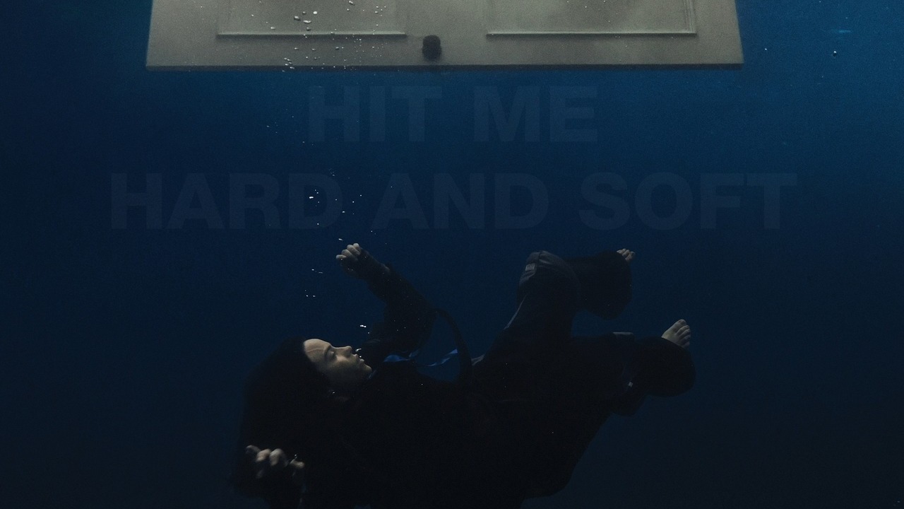 [分轨细节] HIT ME HARD AND SOFT - Billie Eilish (全专解