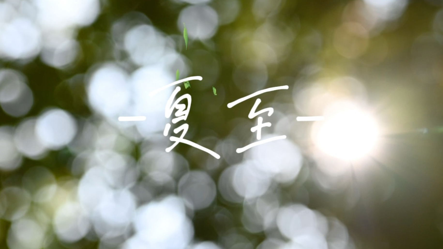 【原创曲】我永远不会忘记你 ｜ 夏至