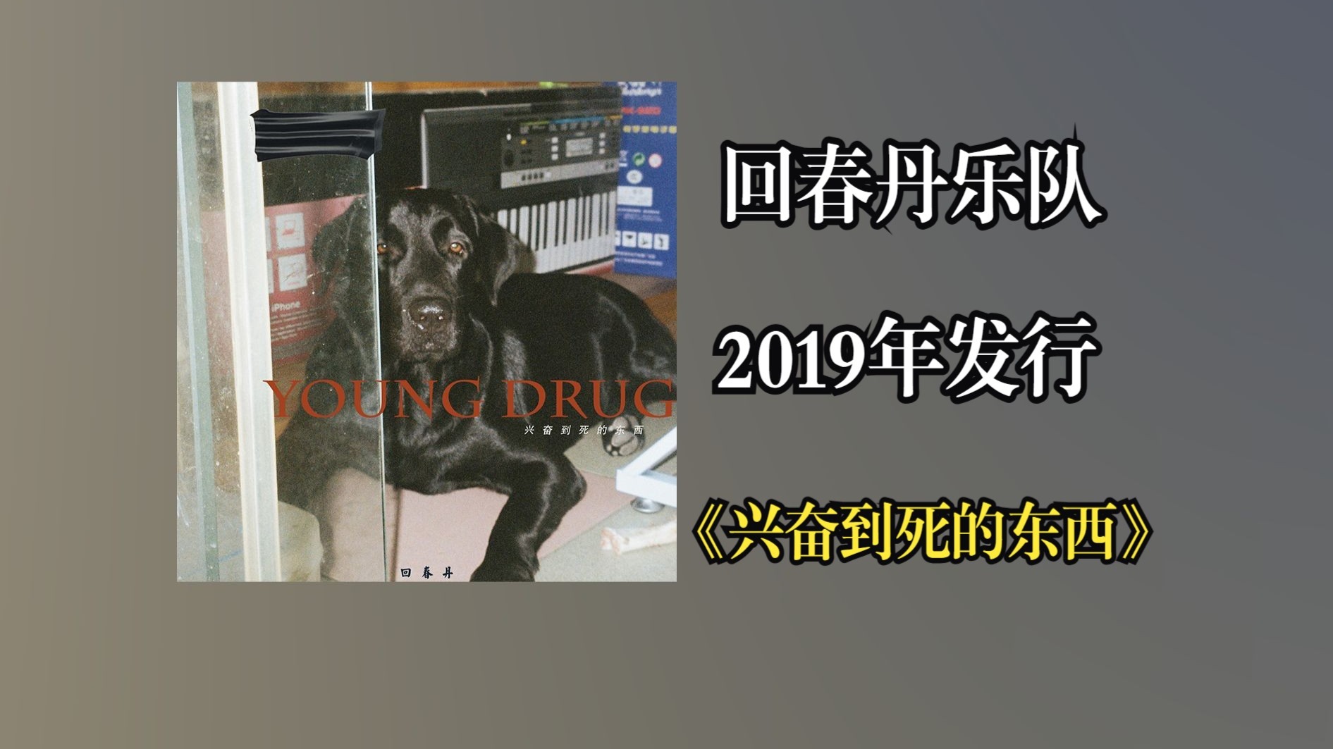 回春丹乐队2019年发行首张EP《兴奋到死的东西》为其后续发展