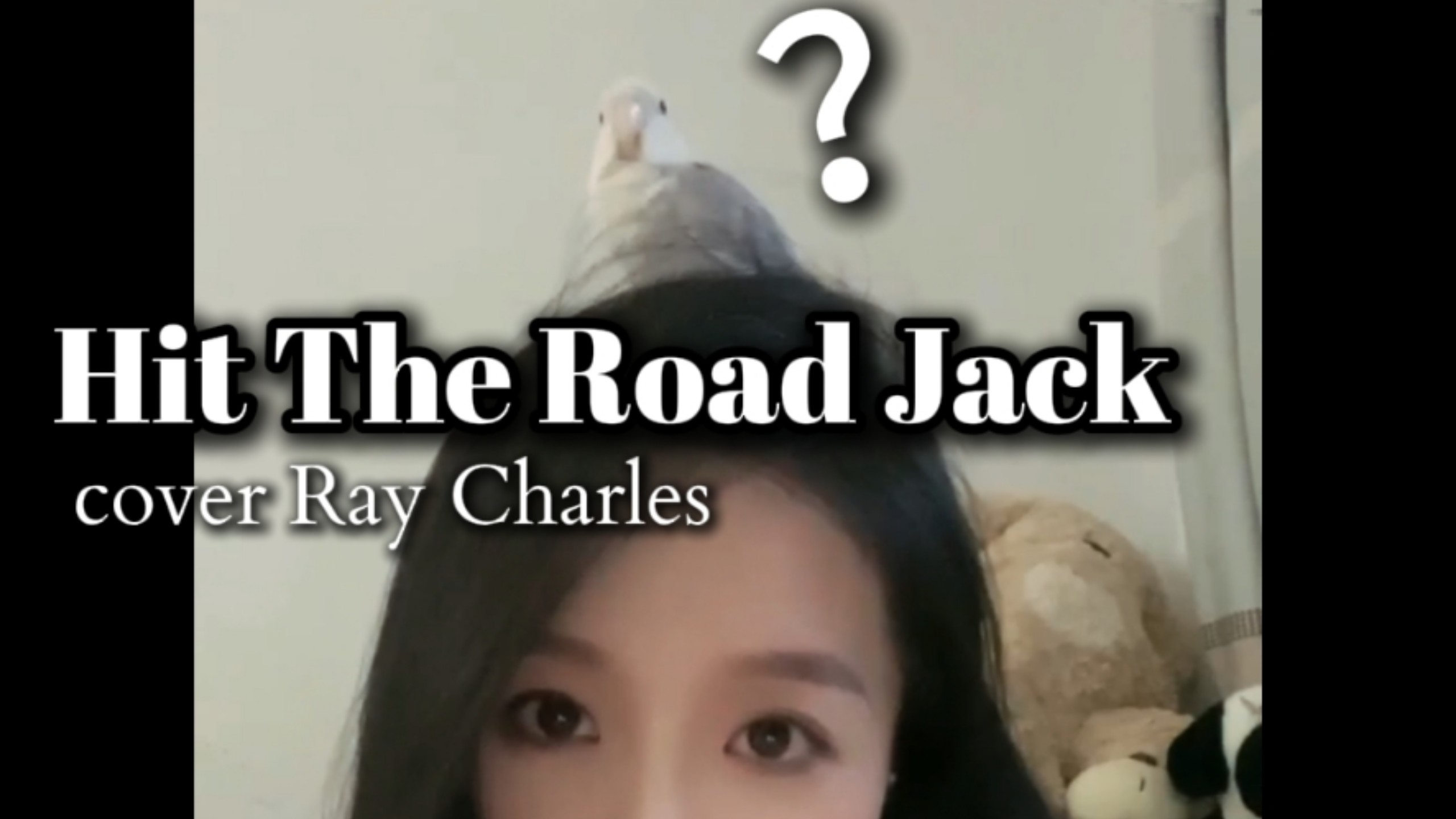 给我家鹦鹉都唱沉默了 Hit The Road Jack 翻唱
