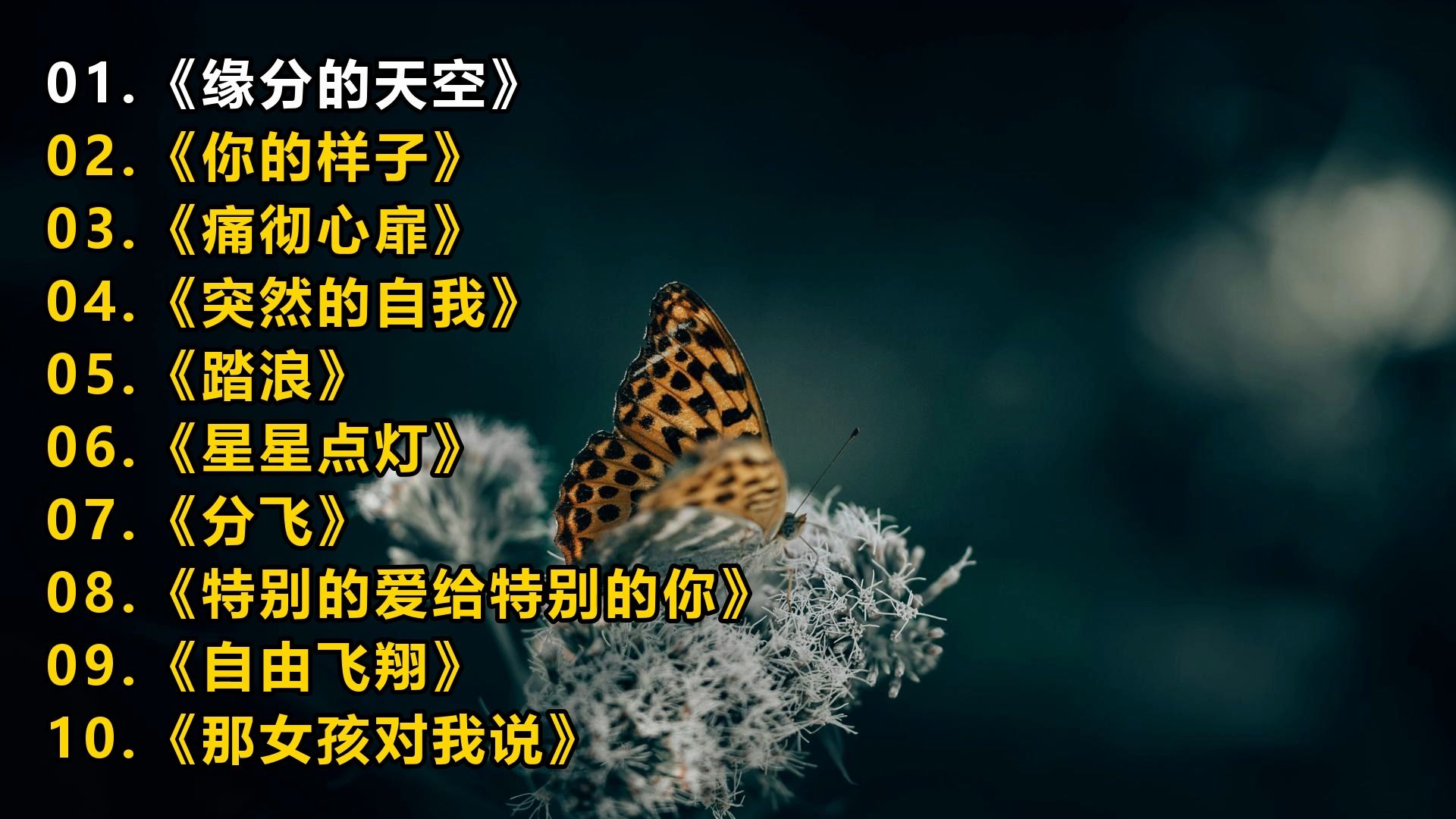 精选歌单《缘分的天空》《你的样子》《痛彻心扉》《突然的自
