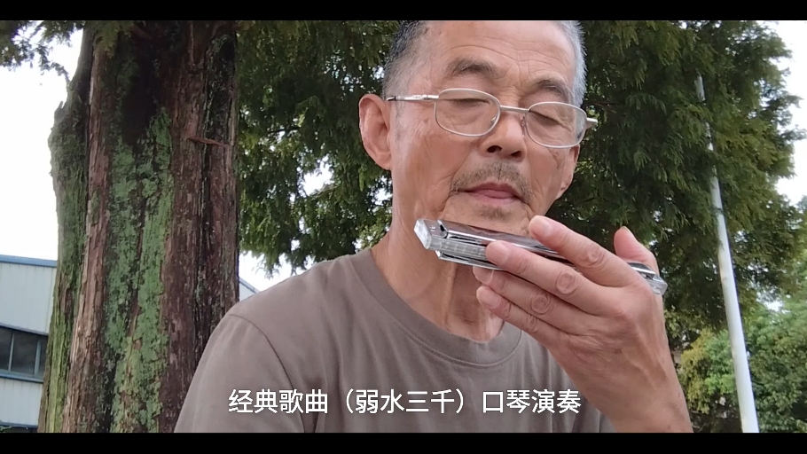 经典歌曲（弱水三千）口琴演奏