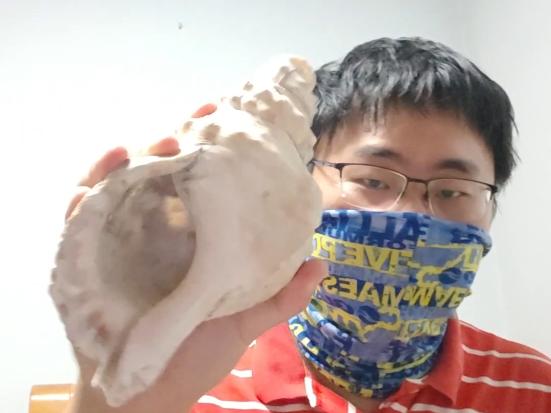 盘点下我手头的号角和螺号（音量已调，保护耳机党）