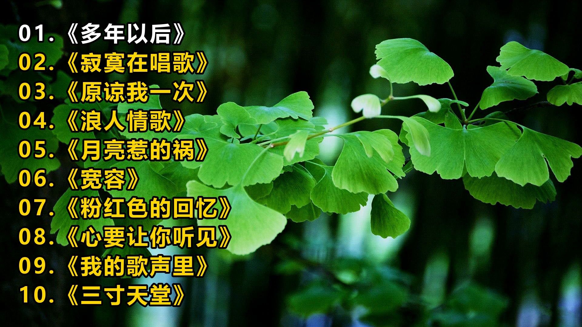 一人一首成名曲《多年以后》《寂寞在唱歌》《原谅我一次》《