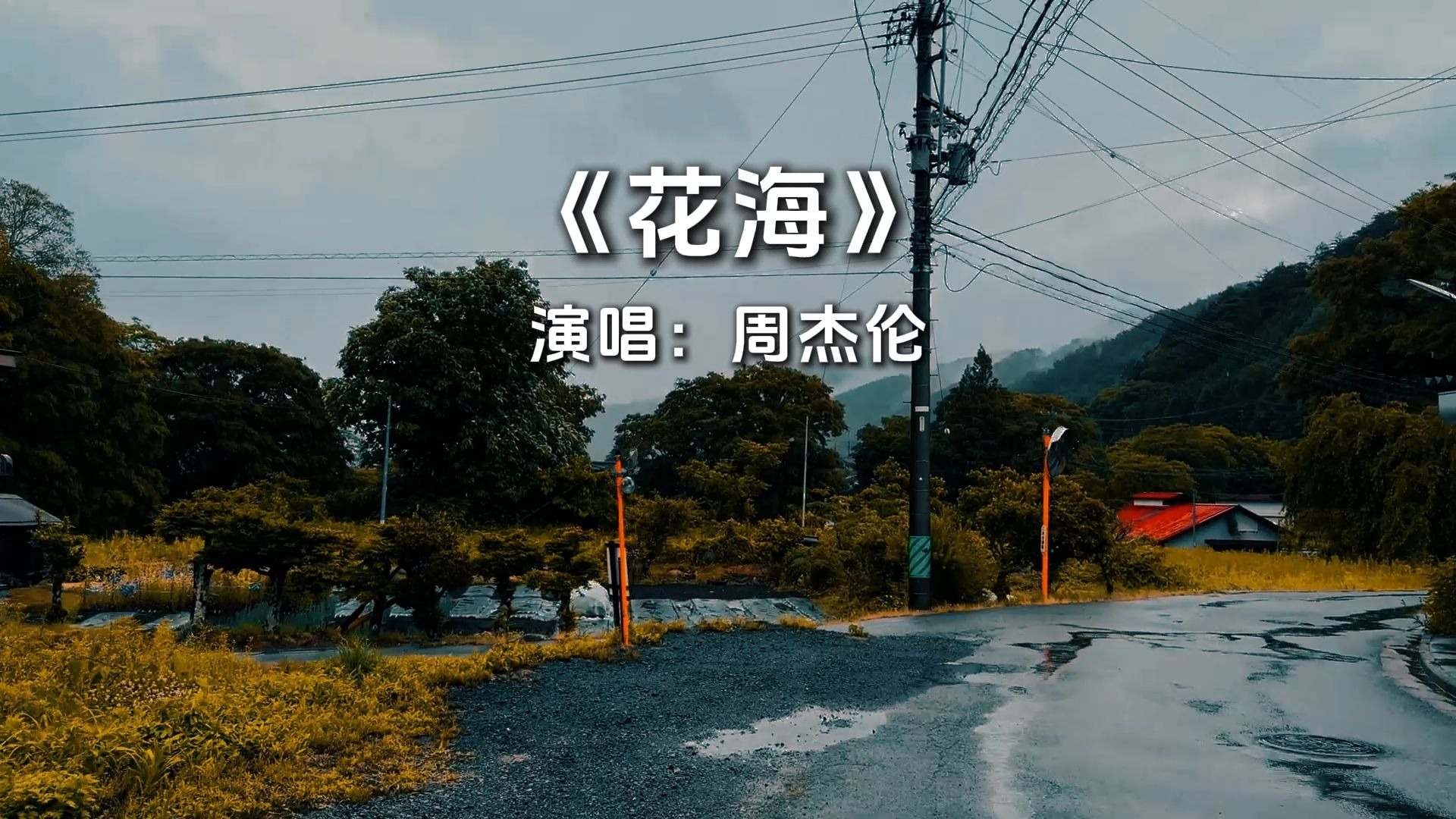 世人皆爱晴天，而我独爱花海.