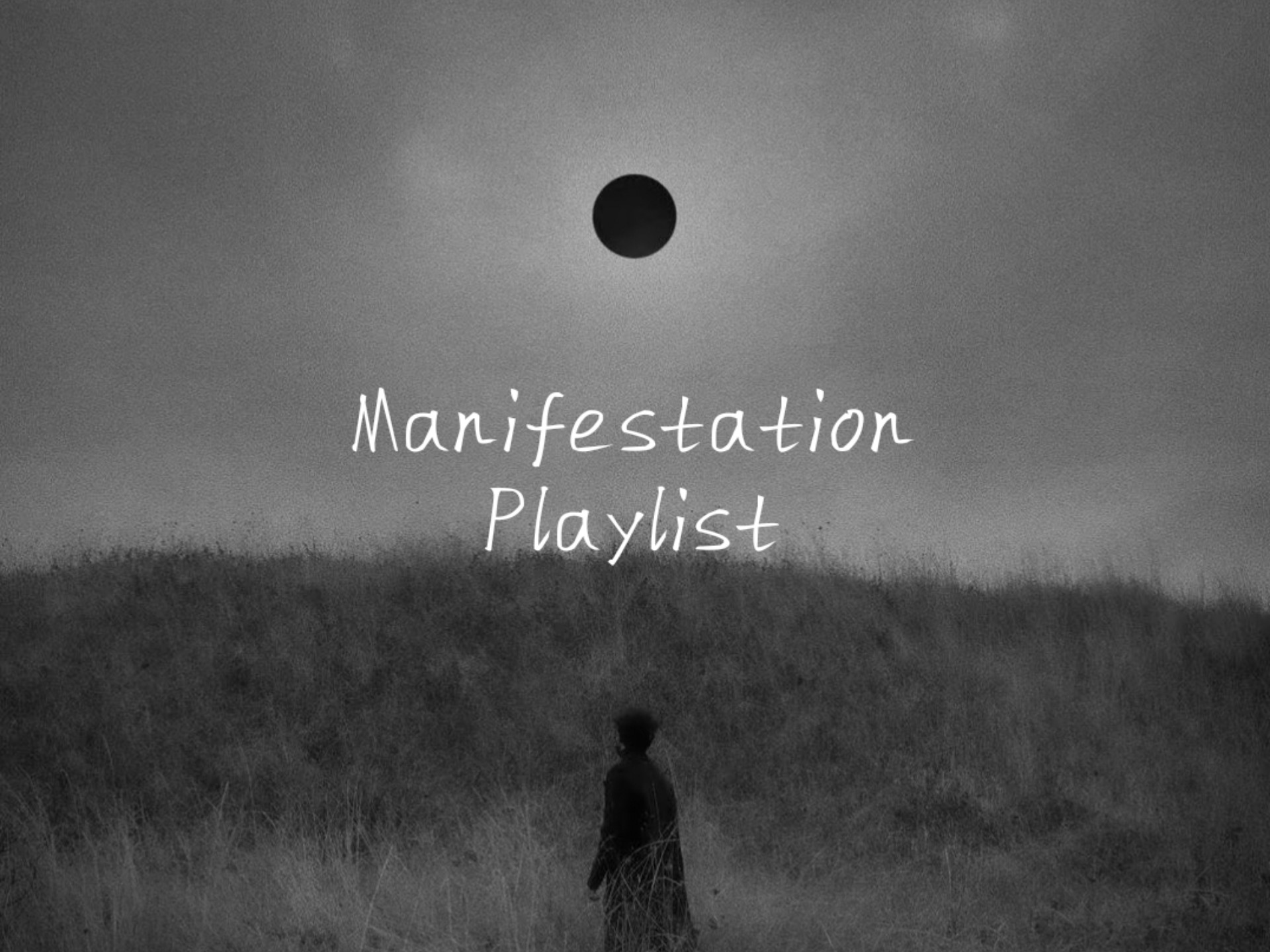 Playlist丨别人也许会梦见我发了疯，而我却梦见扎伊尔