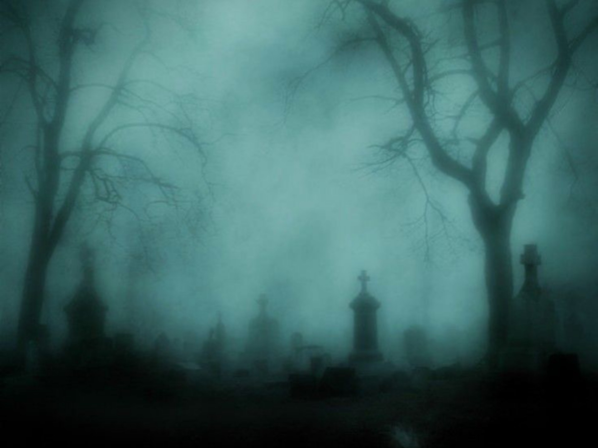 【烤翅】雾骨之子·雌雄同体感