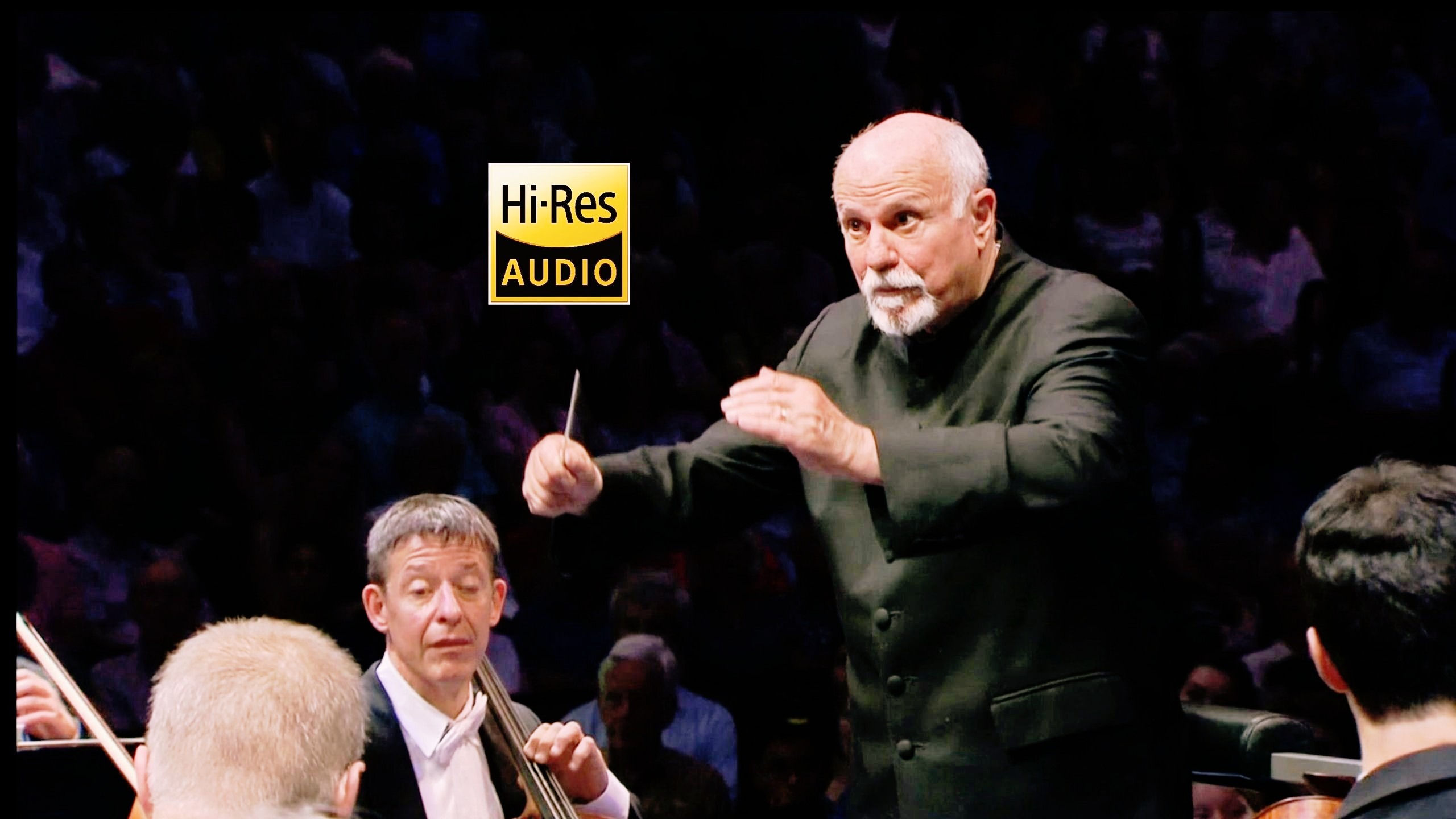 大卫·津曼《贝多芬：第六交响曲“田园”》苏黎世市政厅交响乐