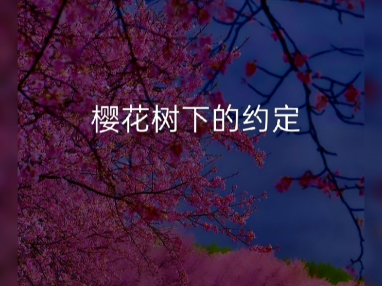樱花树下的约定