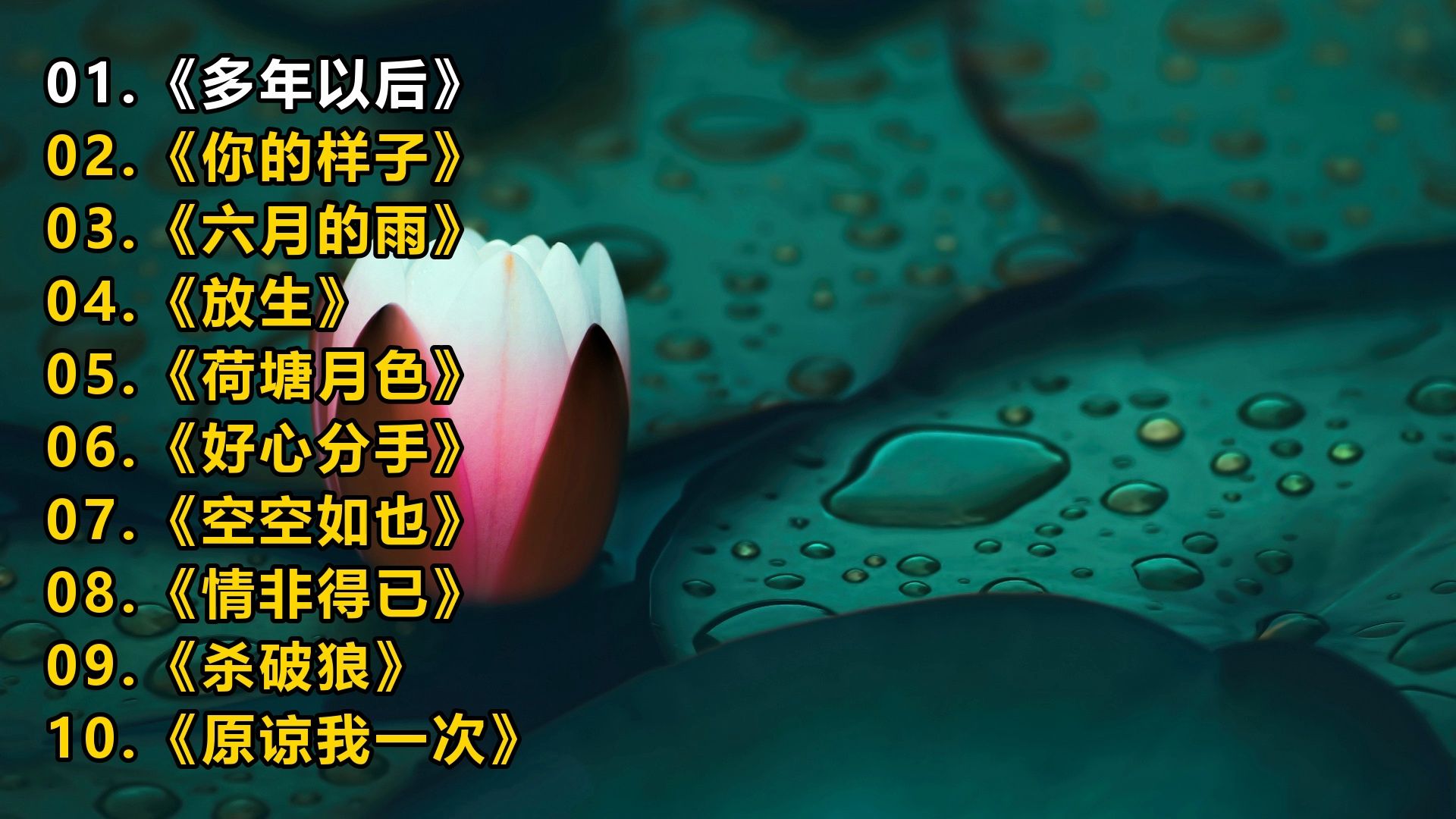 一人一首成名曲《多年以后》《你的样子》《六月的雨》《放生