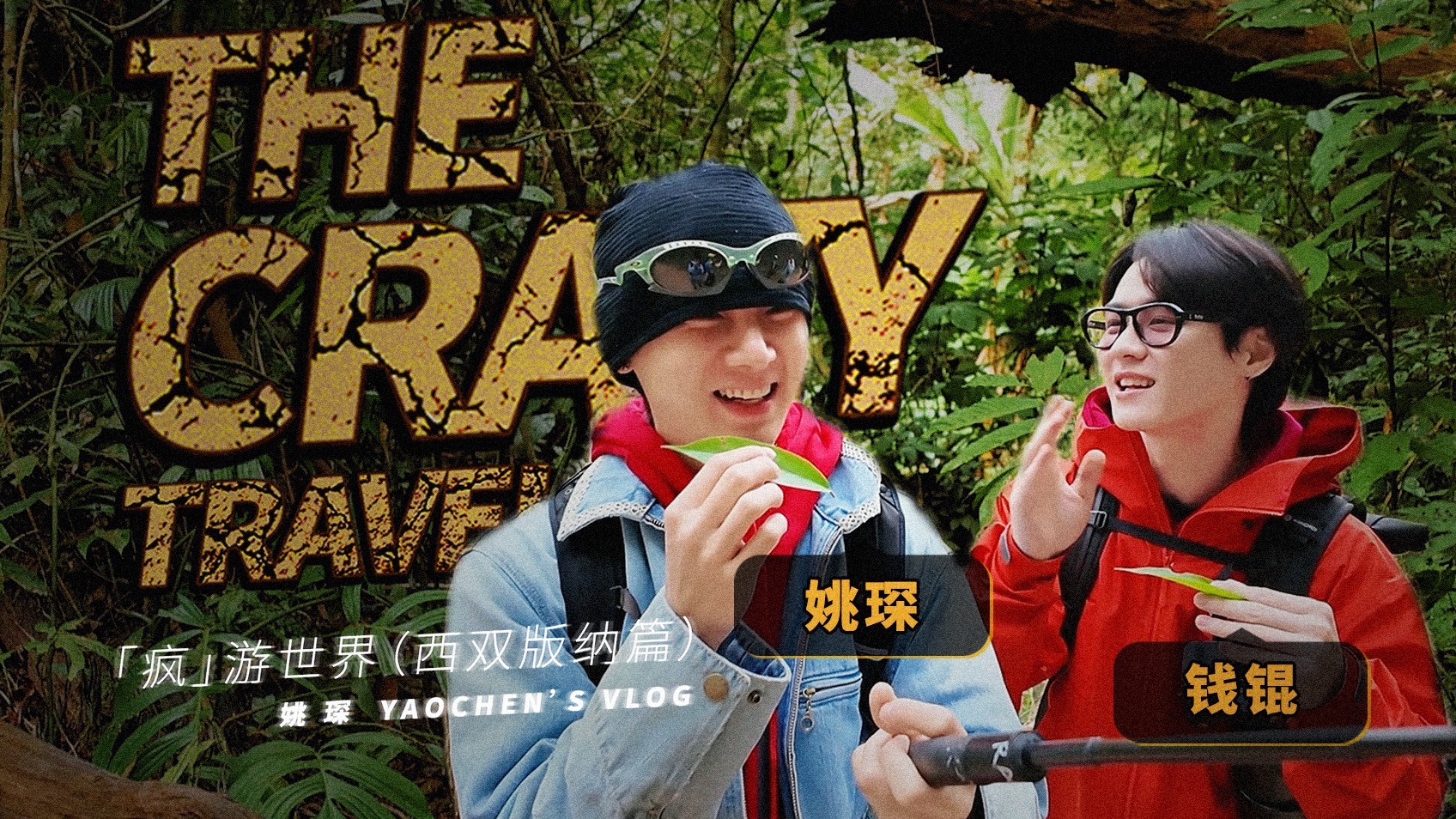 【姚琛VLOG】在热带雨林暴走，主打一个来都来了！｜ 疯游世界（西双