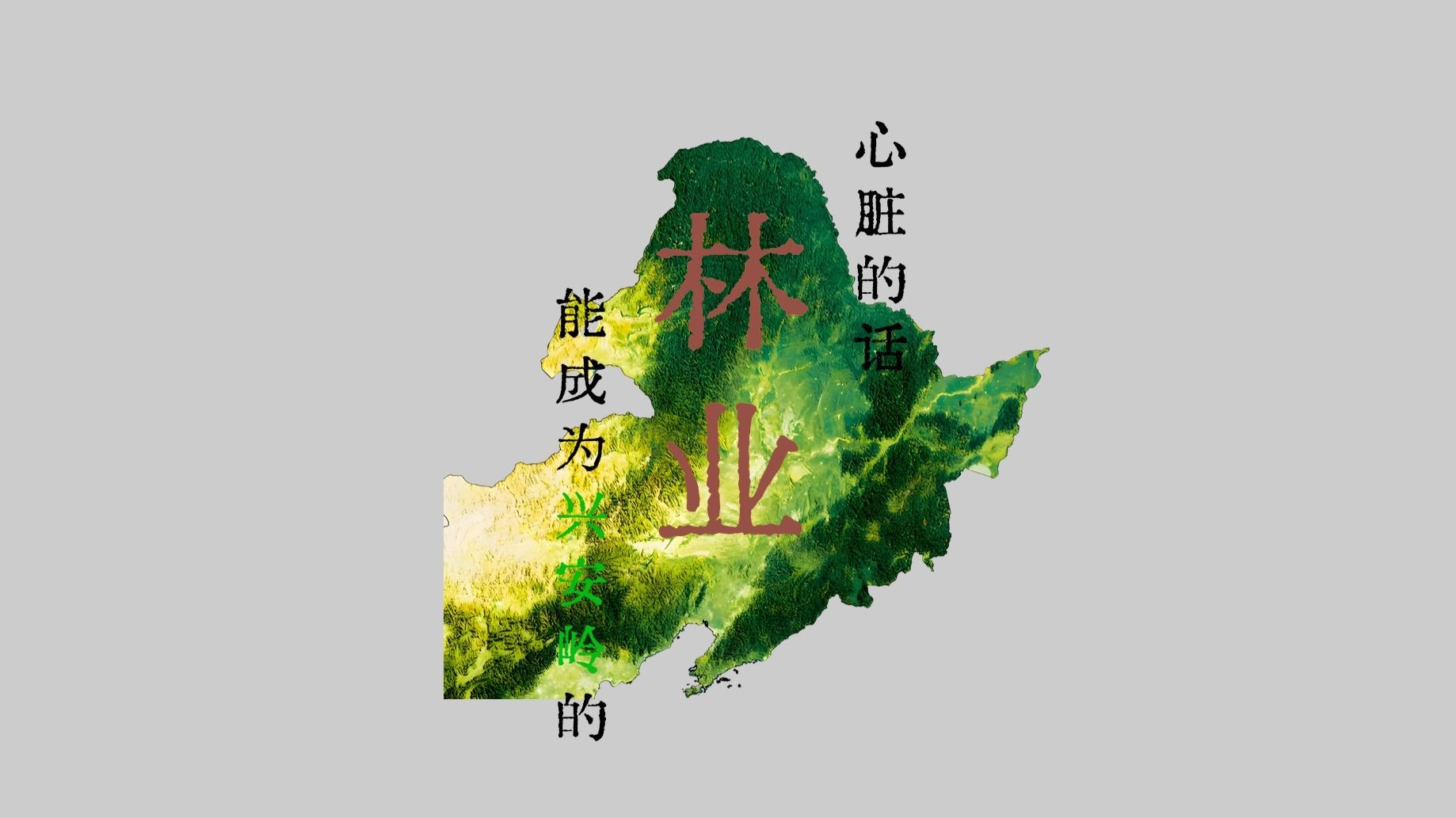 (夢ノ結唱 ROSE)如果林业能成为兴安岭的心脏的话