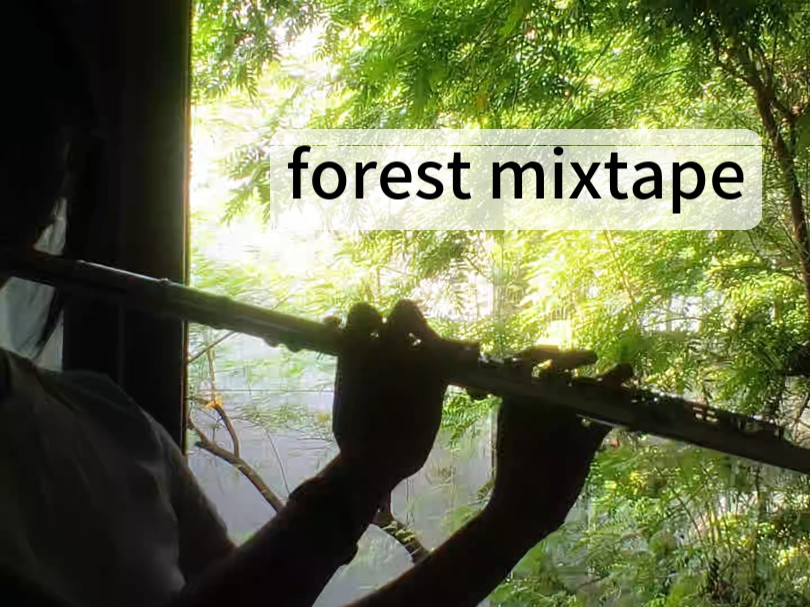Forest mixtape｜且坐等春树不做回头鸟