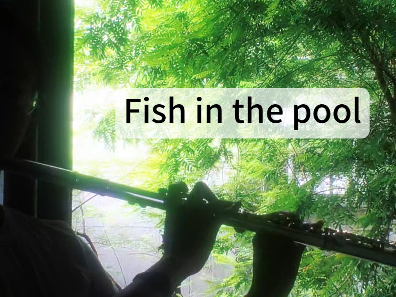 花与爱丽丝杀人事件-fish in the pool