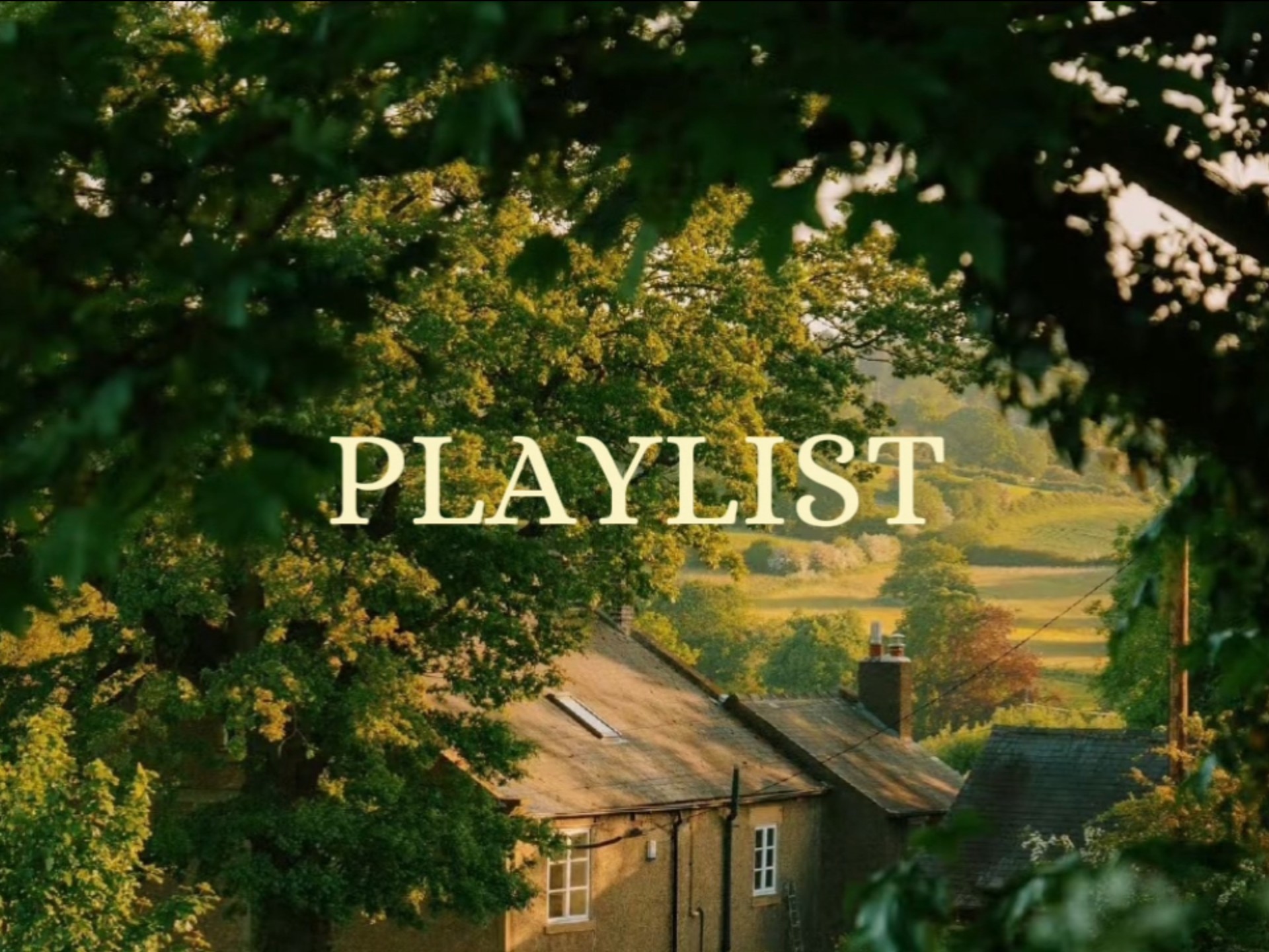 【Playlist｜环境音】藏在树影里的南法清晨 鸟鸣 纯音乐 学习｜