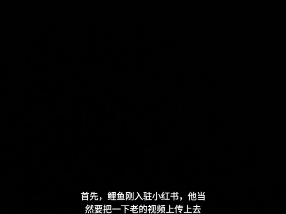 不要催更鲤鱼了
