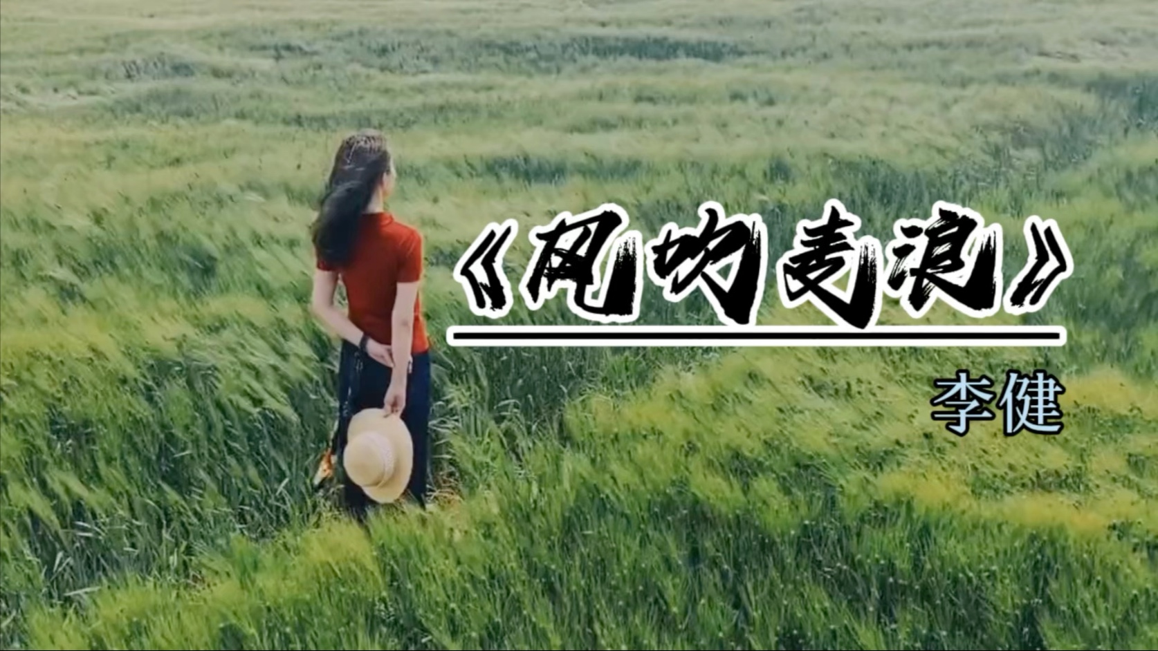 【Hi-Res华语经典无损音质】《风吹麦浪》：李健用歌声勾勒出的