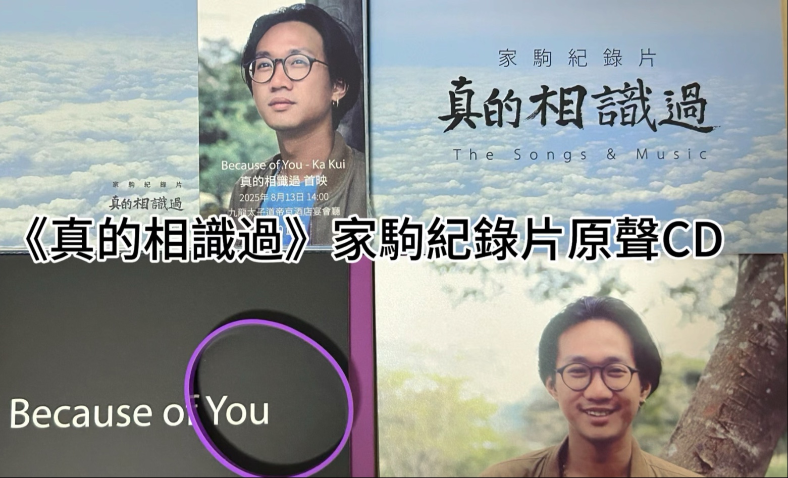 《真的相识过》家驹纪录片CD