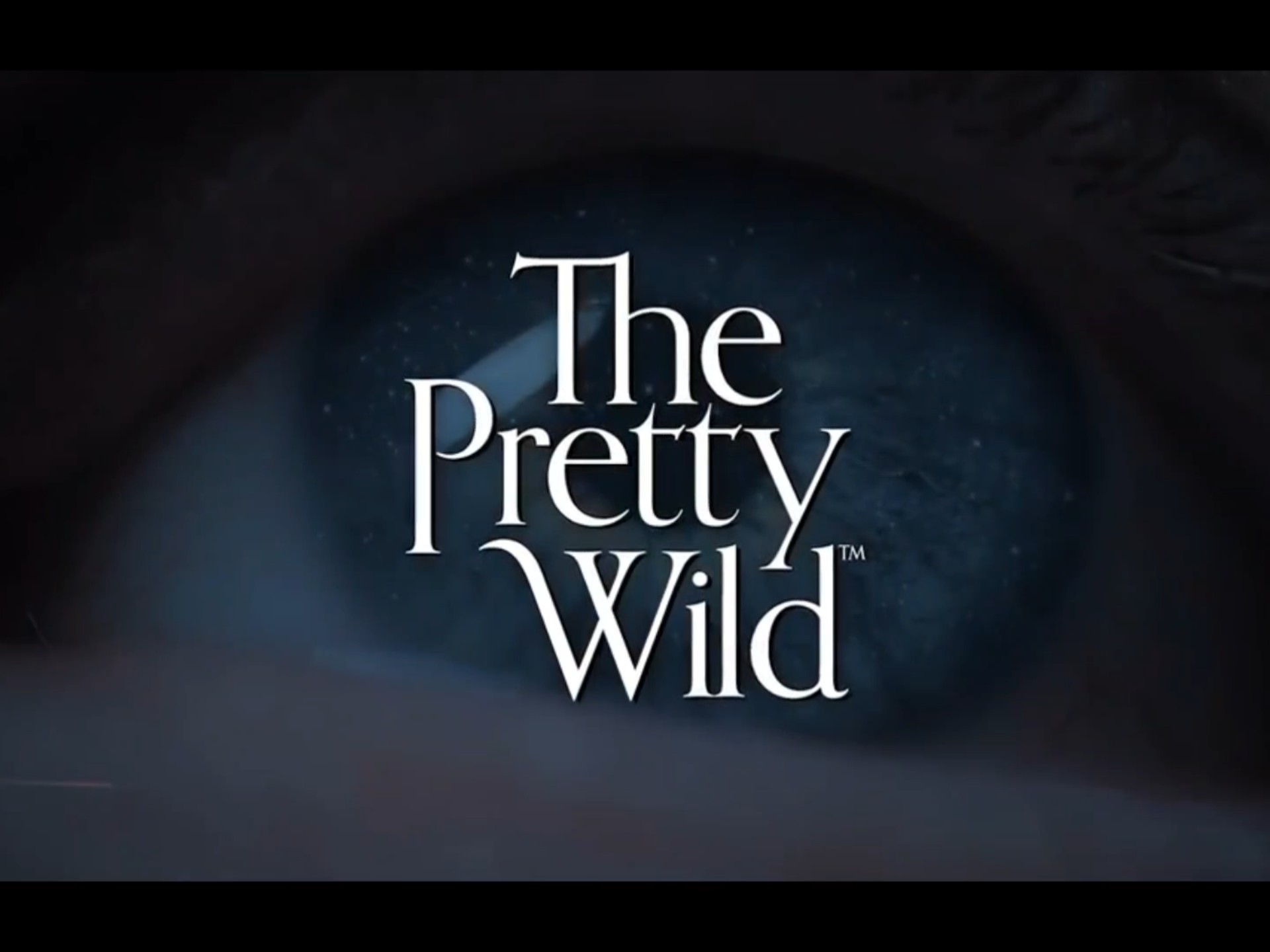 美国新金属核 The Pretty Wild - "Roswell"