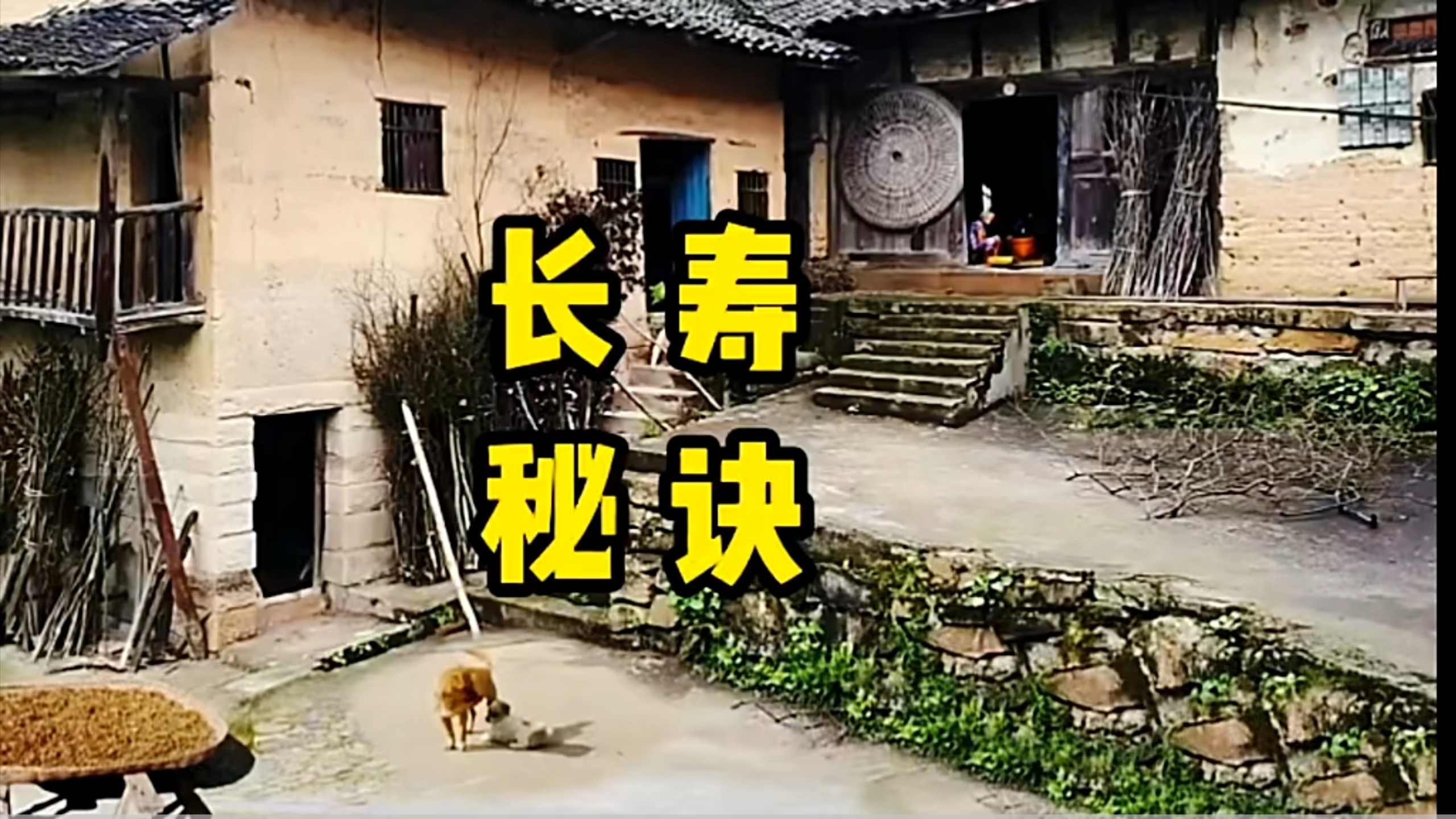 长寿的秘诀是什么？
