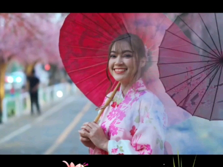 心灵疗愈 音画欣赏《阿里山的姑娘》意境合一 视听享受！#情感