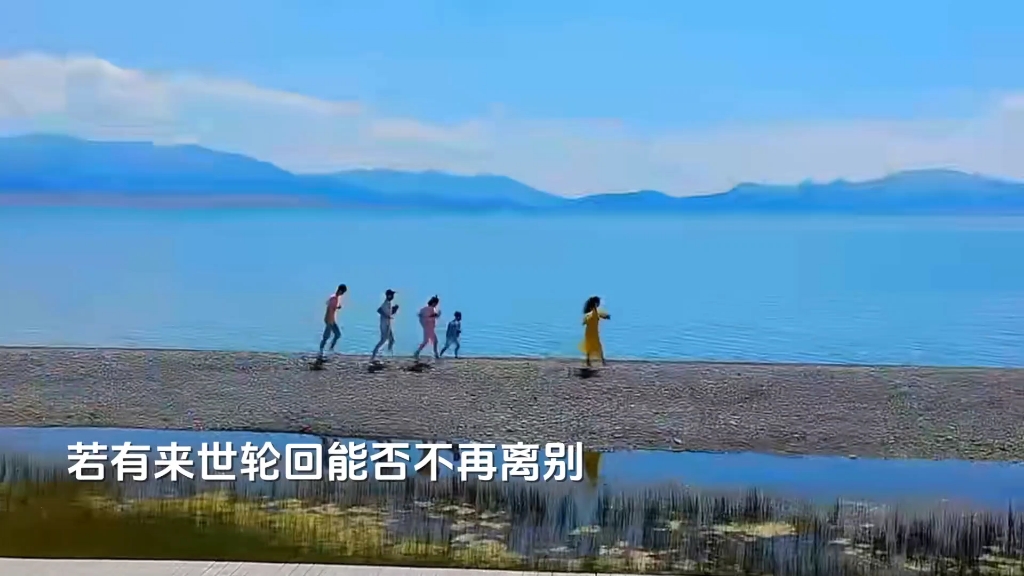 赵洋《躲不过的劫》完整版