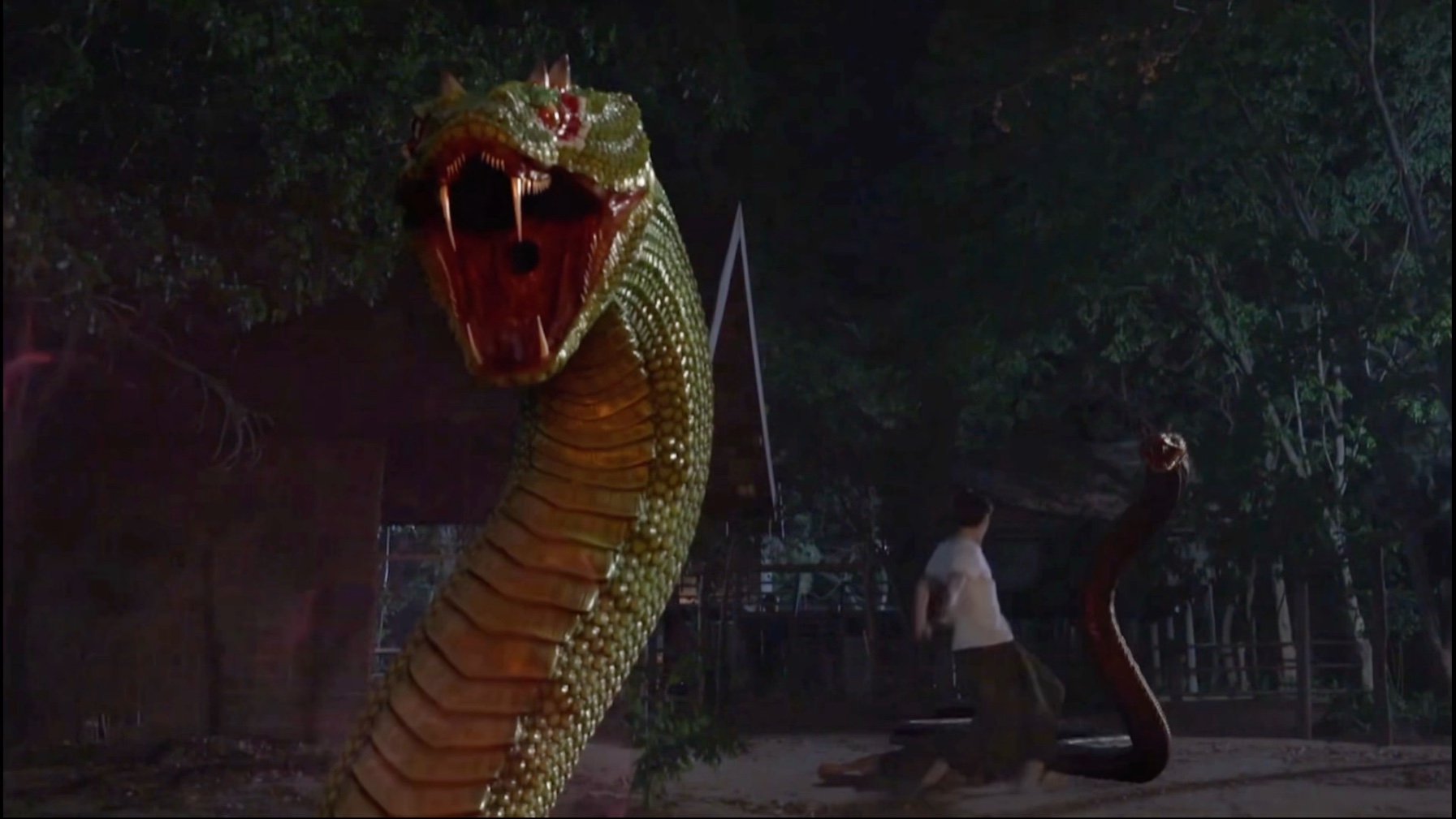 为了救娜迦女神都走了