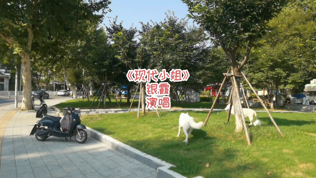 #随拍#音乐#怀旧#经典老歌#白德牧