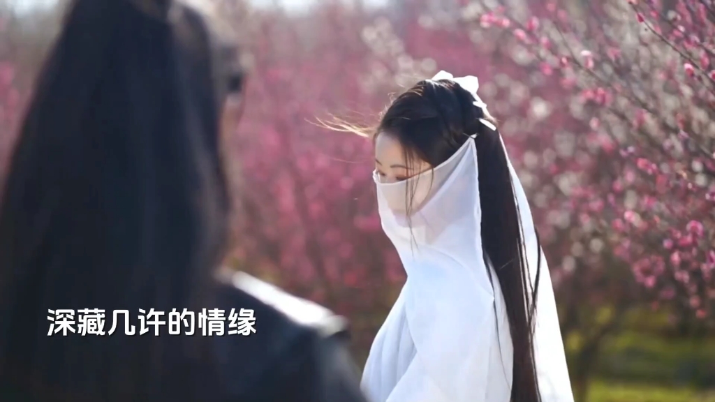 花僮《情狐》完整版