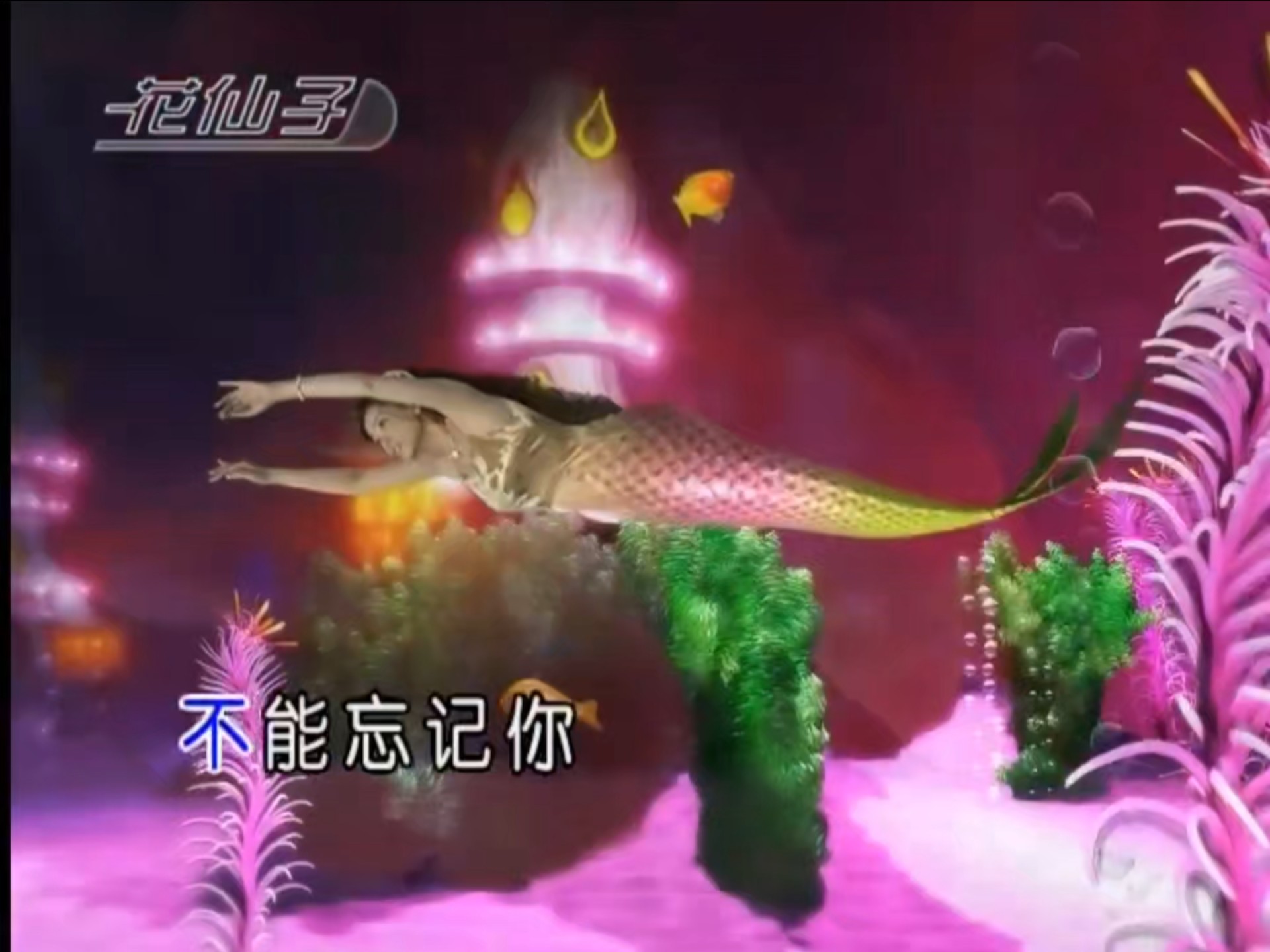 【韩宝仪（不是）】粉红色的回忆
