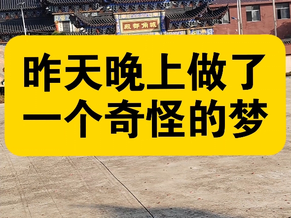 昨天晚上做了一个奇怪梦，梦的内容在评论区
