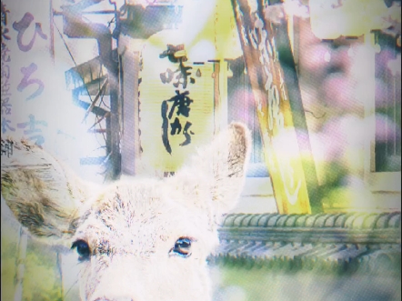 人间囚
