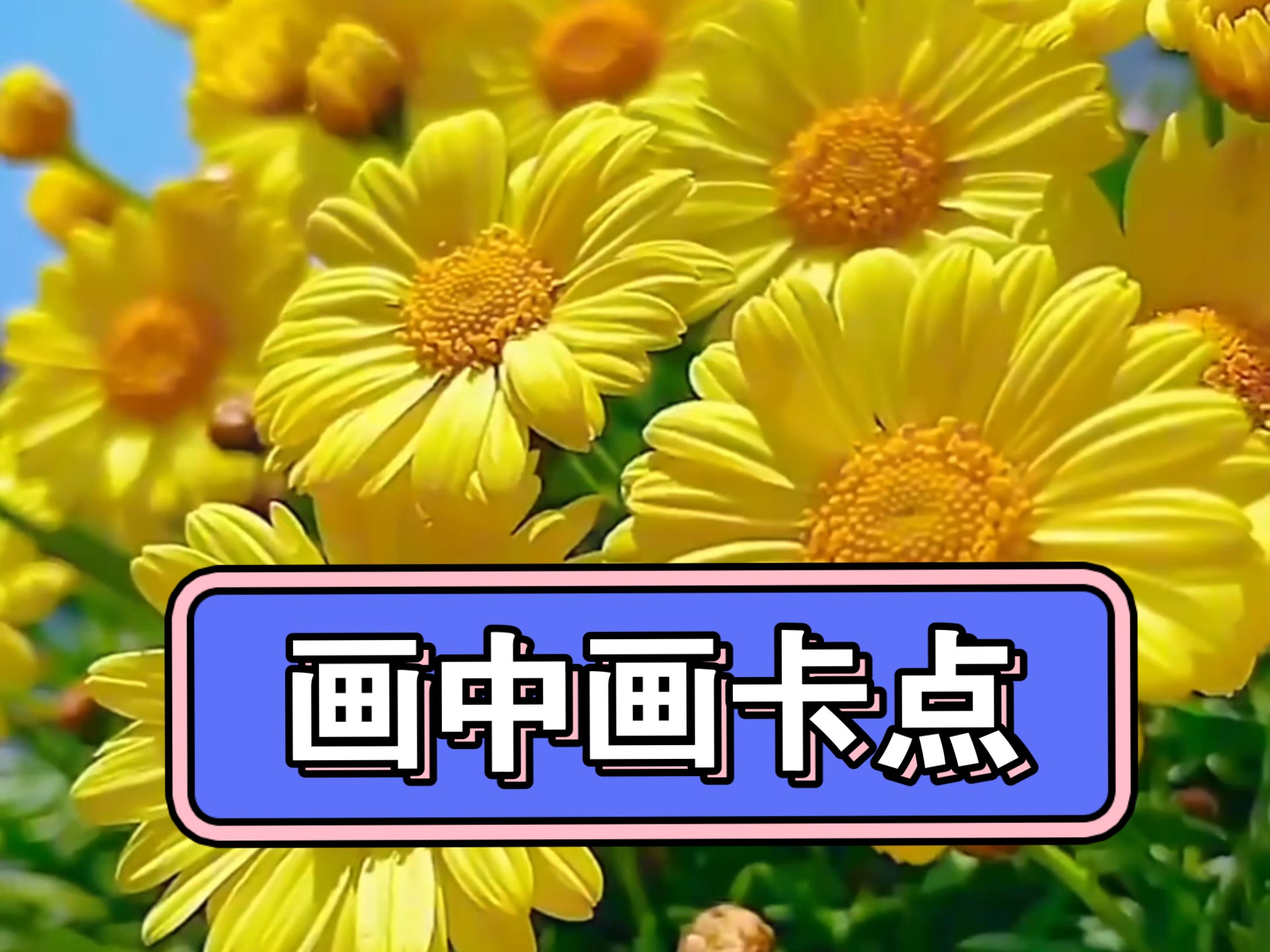 手残党逆袭！30秒学会画中画卡点神技，成片效果我很喜欢✨