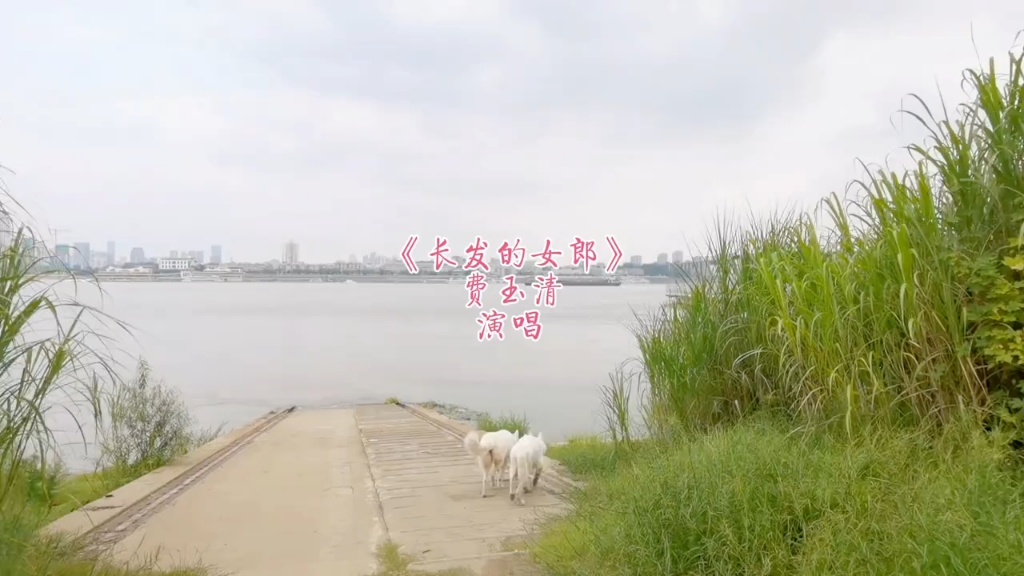 #随拍#音乐 #怀旧 #白德牧 #经典老歌 #车载音乐