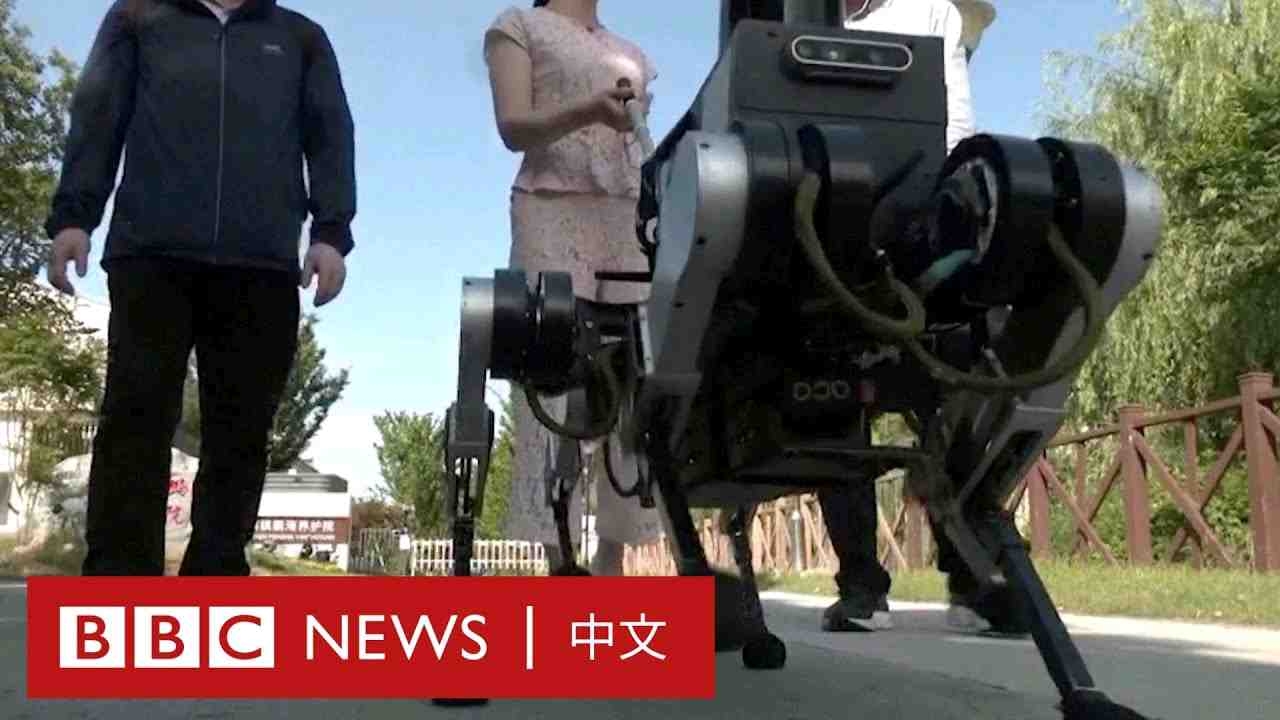 中國研發「機器導盲犬」 方便視障人士出行－ BBC News