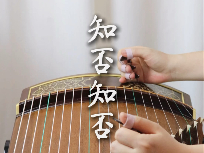 【情筝艺惬古筝谭老师】我的最新作品，快来一睹为快！