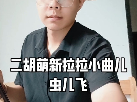 一个普通上班族的二胡日常 虫儿飞