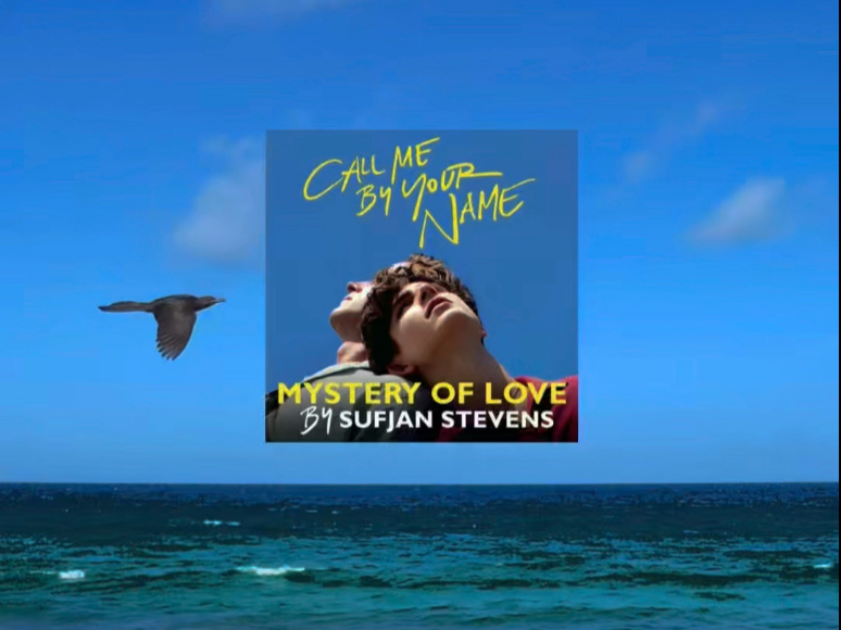 Mystery of Love 后面剪了一些相册里随手拍的小动物视频